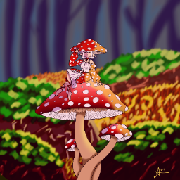 Imatge de perfil de l’usuari