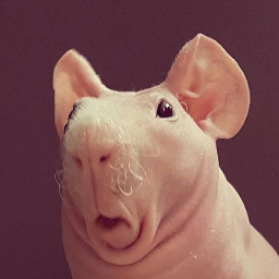 Imatge de perfil de l’usuari