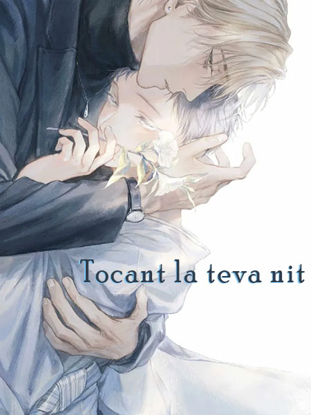 Tocant la teva nit